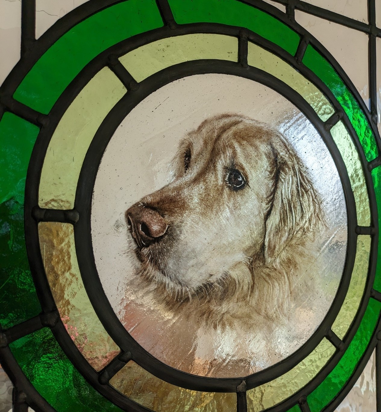 stained glass pet portrait